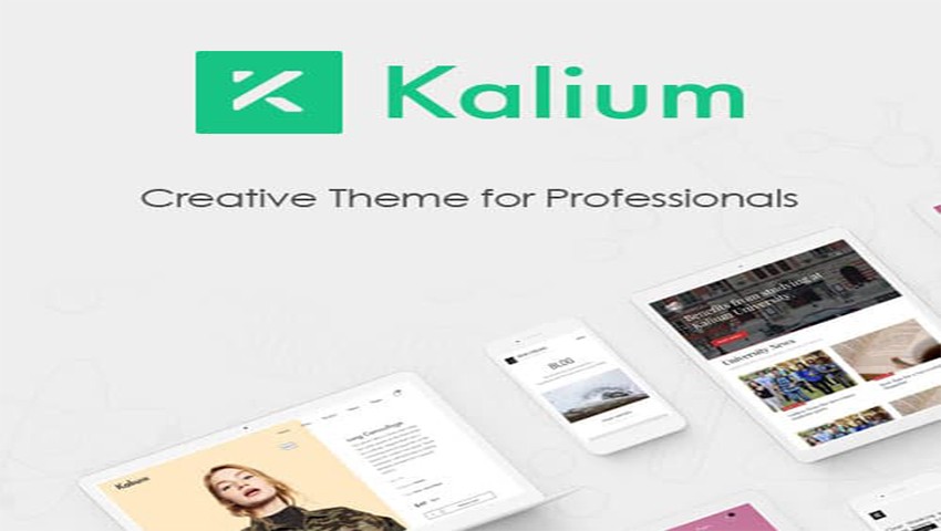 Kalium | Creative Multipurpose WordPress & WooCommerce Theme v3.16