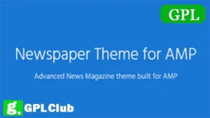 Newspaper Theme for AMP