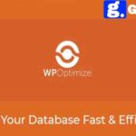 WP Optimize Premium wordpress plugin
