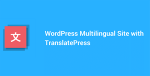TranslatePress Multilingual 2.4.3 + 1.2.3 – Business Plan
