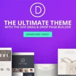 Divi - All-In-One WordPress Theme & Visual Page Builder