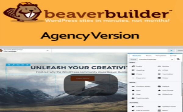 Beaver Builder Agency