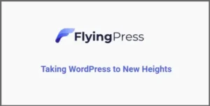 FlyingPress WordPress Plugin