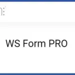 WS Form PRO