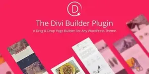 The Divi Builder plugin